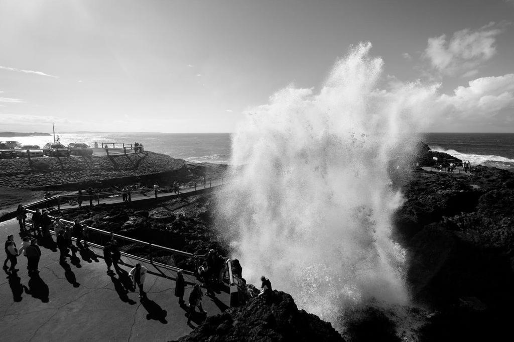 Kiama Shores Eksteriør bilde